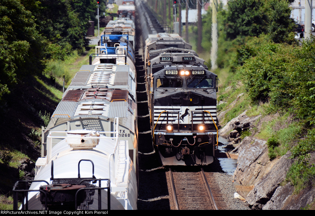 NS 9219 64K Ethanol Loads